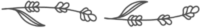 flower-divider-6-1.png